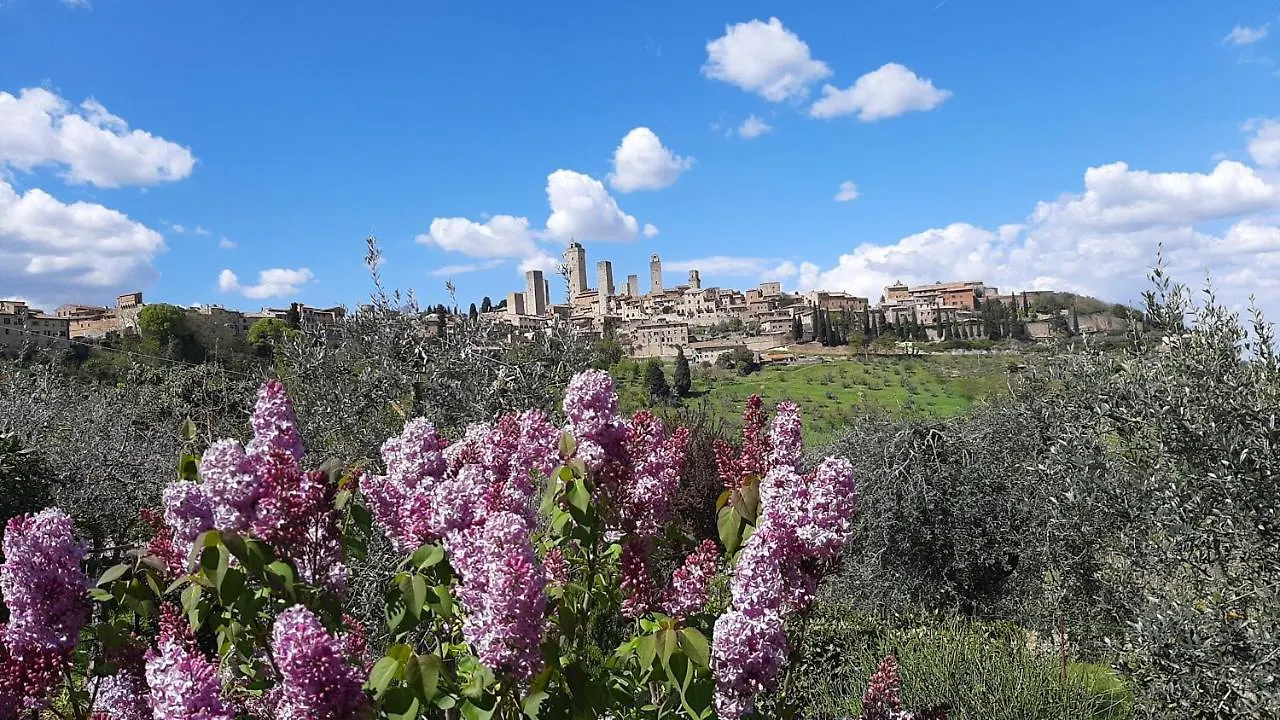 Farm stay Antico Casolare Villa San Gimignano Italy