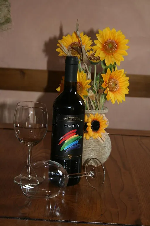 Antico Casolare Villa San Gimignano Farm stay